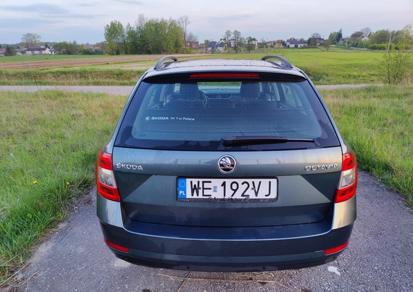 Skoda Octavia cena 52900 przebieg: 107000, rok produkcji 2019 z Pyzdry małe 56